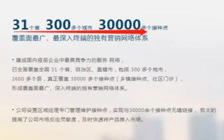 998广告联盟，打造高效广告投放，助力企业营销新飞跃
