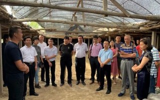 成果网，构建知识共享新生态，激发创新潜能的无限可能