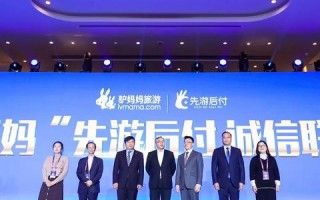 诚信联盟，构建社会信任基石的力量