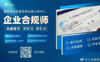 揭秘X档案CPA联盟，会计行业的隐秘力量与合规挑战