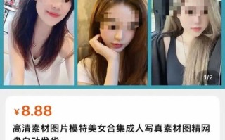 438美女视频联盟，揭秘网络视频平台的美丽与乱象