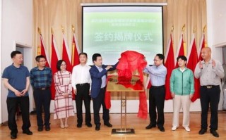 88网络广告联盟，重塑数字营销新生态