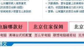 现在网站申请360广告联盟，为何网站总在审核中？探究360广告联盟的现状与申请流程