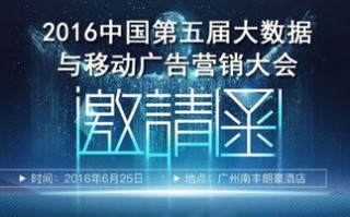 揭秘去313广告联盟，一场关于数字营销与隐私保护的博弈