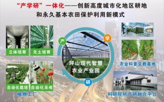 嘻喔喔广告联盟，打造高效广告合作新生态