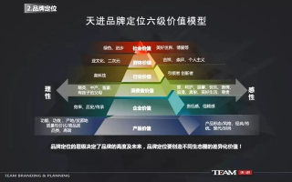 天盟推广，开启数字营销新纪元，重塑品牌未来