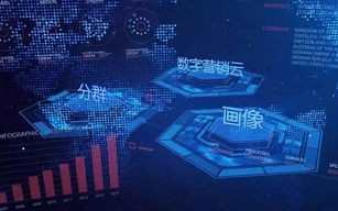 闪电联盟，重塑未来商业版图的力量