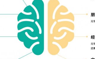 EPINF网站联盟，重塑数字时代信息生态的先锋力量