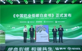 泰兴联盟，重塑数字经济新生态，引领产业转型升级新篇章