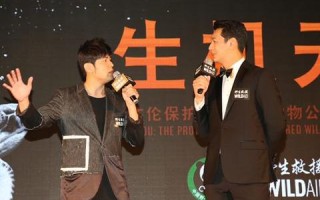 信誉铸就成功，探索信誉好的广告联盟的力量