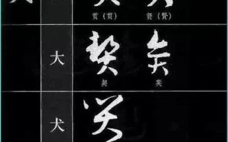 特殊符号，解锁数字与文字的神秘密码