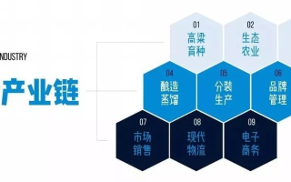 517赢30日付联盟，打造高效供应链，共赢未来商业版图