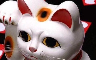 招财猫广告联盟，打造高效广告推广的秘诀