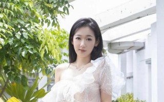 日本广告联盟，创新与协作的先锋，塑造数字营销新纪元