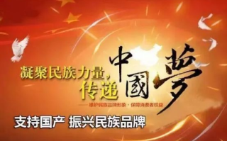 爱国者联盟，凝聚民族力量，共筑复兴之梦