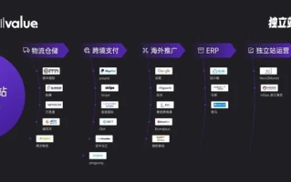 探索Go100联盟，创新合作模式，引领数字化转型新篇章