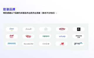 华洋广告联盟，连接全球，引领数字营销新风尚