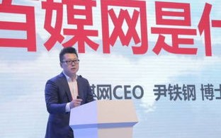 百众传媒，打造多元化传播生态，引领媒体新风尚