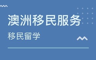 财富教学平台、学习广告联盟，探索真实性与价值