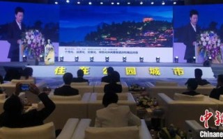 住哪网联酒店分销联盟，重塑酒店业的未来