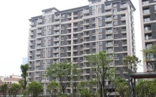 218联盟，重塑产业生态，共绘发展新蓝图