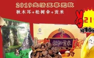 淘点击联盟，重塑电商推广新生态，共赢未来商业版图