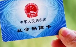 泰禾广告联盟，重塑数字营销新生态的领航者