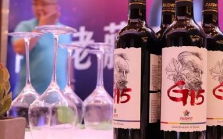 863联盟，重塑科技合作新生态，共筑全球创新高地