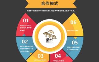 零和联盟，重塑合作与共赢的新范式