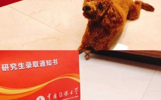 果子狸传媒，新媒体浪潮下的创意传播先锋