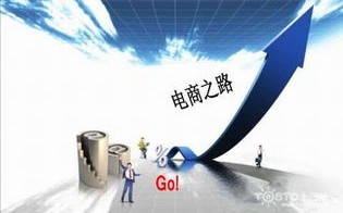 高价日结算联盟，重塑电商支付生态，引领消费新趋势