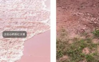 速8广告联盟，打造高效广告投放，助力企业营销升级