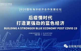 大海联盟，探索全球海洋合作的新时代