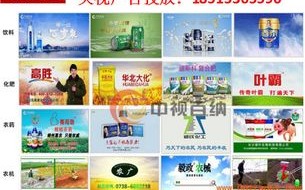揭秘88广告王，互联网营销传奇的崛起与未来