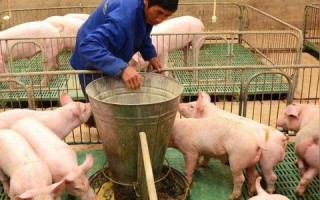 3131广告联盟，打造高效广告投放，助力企业营销升级