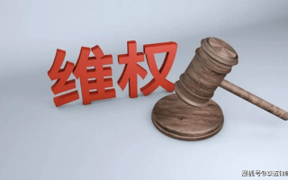 胜诉联盟，法律维权的新篇章