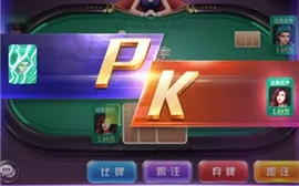 鸿泰棋牌联盟，打造多元化棋牌竞技平台，引领全民娱乐新风尚