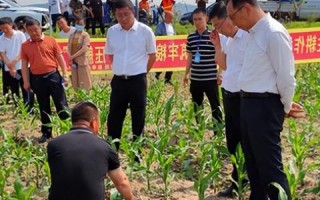 打造高效App推广联盟，策略、工具与成功案例全解析