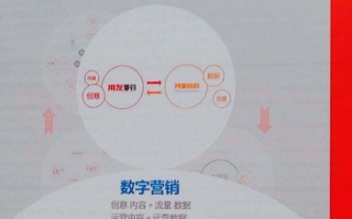 聚朗广告联盟，重塑数字营销新生态的领航者