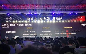 奇虎联盟，重塑互联网安全生态的先锋力量