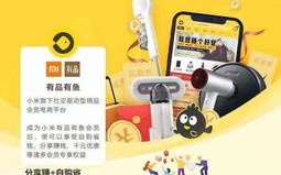 揭秘App推广联盟，如何高效利用资源，实现双赢共赢
