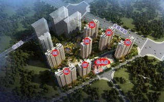 揭秘988联盟，一场数字时代的商业变革与未来展望