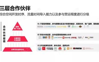 揭秘叁倍广告联盟，一个高效广告合作模式的深度剖析