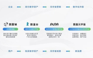 5466统一联盟，重塑数字时代商业版图的新势力