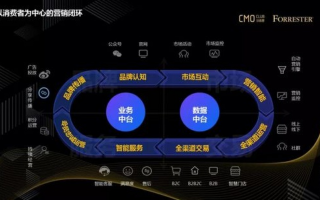中聚广告联盟，重塑数字营销新生态的领航者