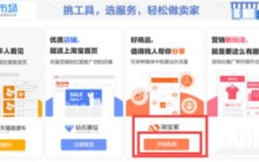 淘宝联盟卖家佣金设置策略，平衡收益与吸引力的艺术
