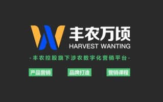 熊猫广告联盟，重塑数字营销新生态