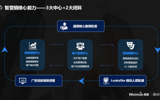 蚂蚁广告联盟，重塑数字营销新生态的微小力量