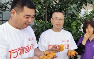 请教网上赚钱除淘宝联盟还有什么？骗子就不要回了
