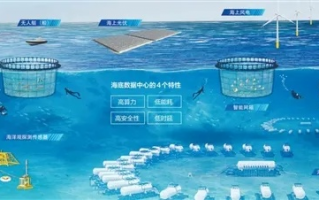 鲸鲨网盟，探索海洋生态与数字经济的交汇点